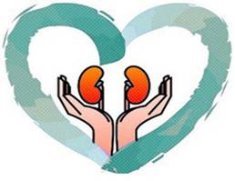 Здоровые почки - залог долголетия_0.jpg